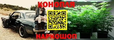 не бодяженный Заводоуковск