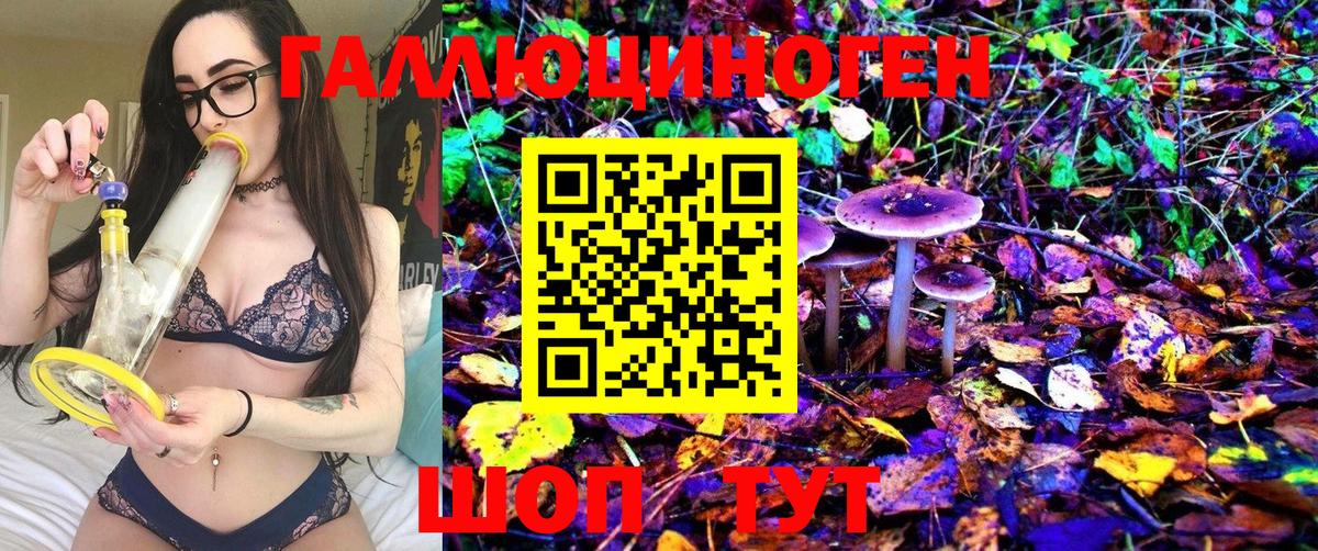 Галлюциногенные грибы MAGIC MUSHROOMS Коркино