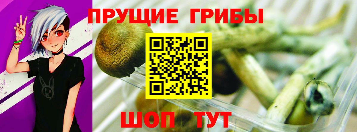 цена   Вход с VPN  Коркино  Псилоцибиновые грибы MAGIC MUSHROOMS 
